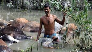 ২৯ শে এপ্রিল ! সেই ভয়াল রাতের কিছু কথা।