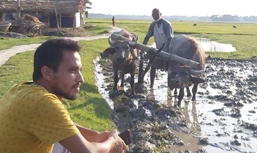 মুরগীর ডিম ফুটে হাঁসের বাচ্চা