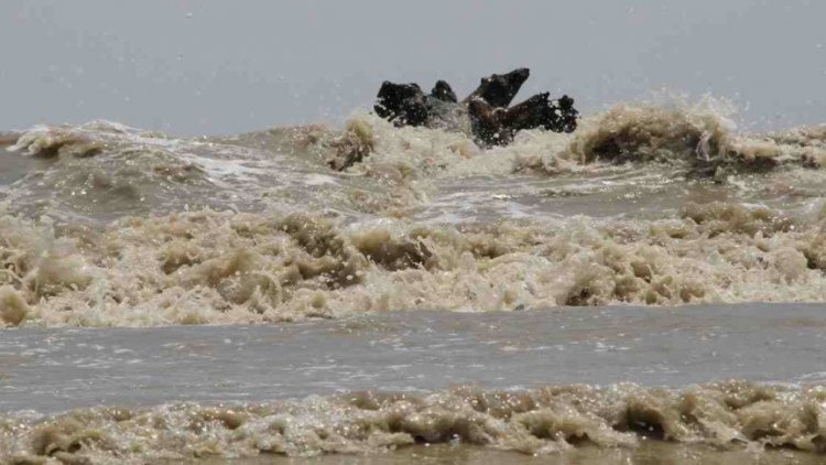 ভেসে যাওয়া সালাউদ্দিনের লাশ উদ্ধার