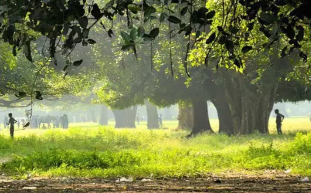 বিদায় নিল বর্ষা, এখন শীতের অপেক্ষা